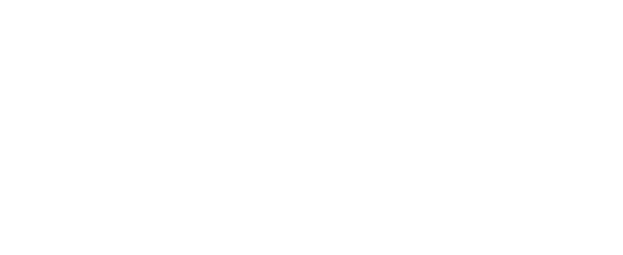 Pzbuk logo white