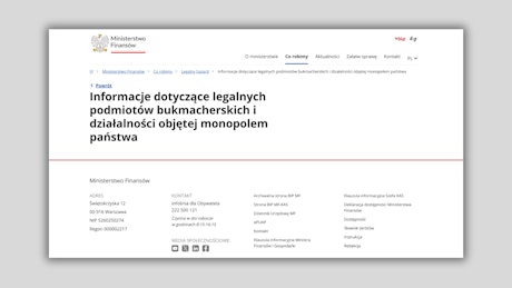 Legalne podmioty w Internecie 1